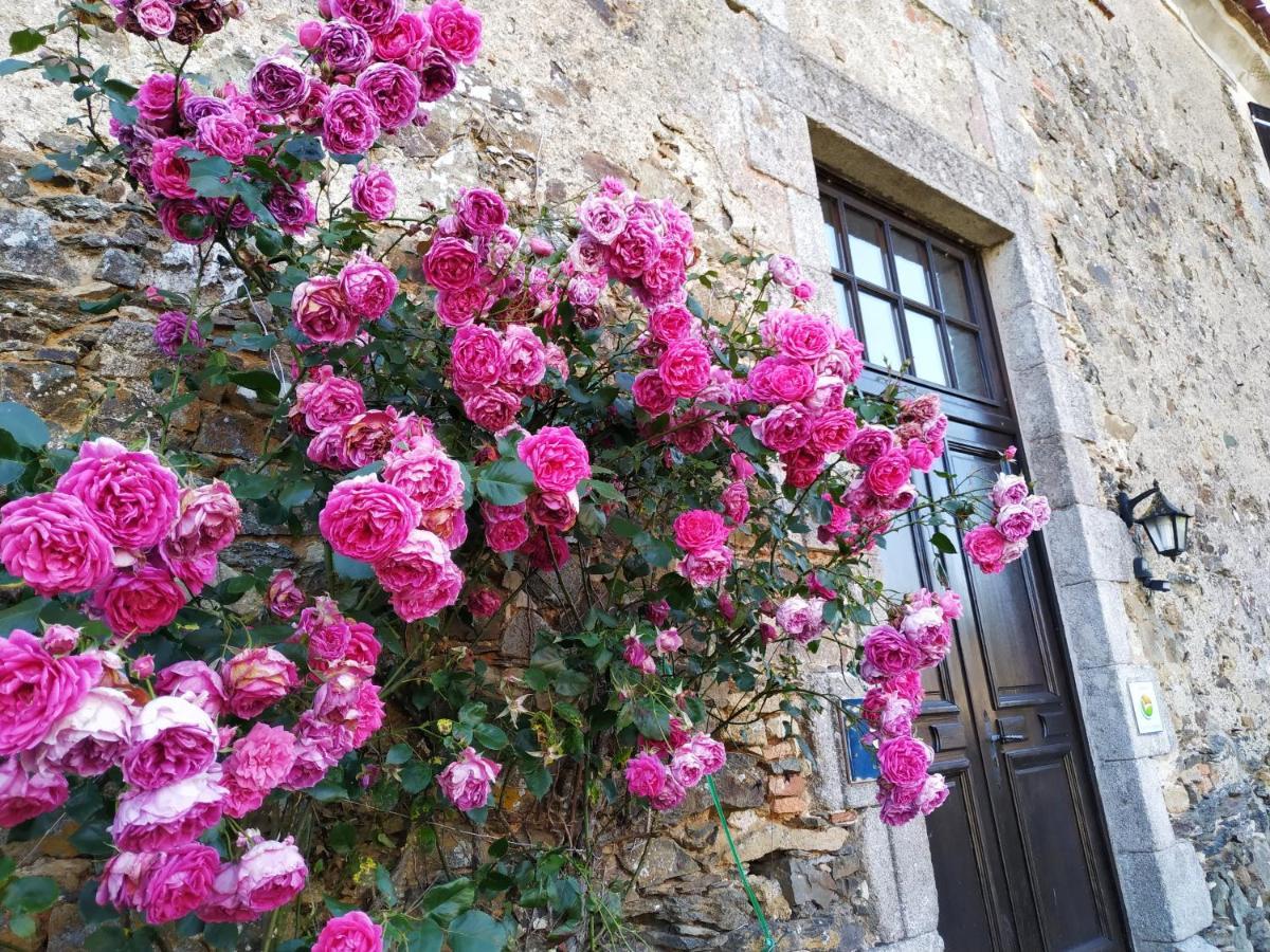 Chambre D'Hote Manoir De La Baudonniere Monsireigne エクステリア 写真