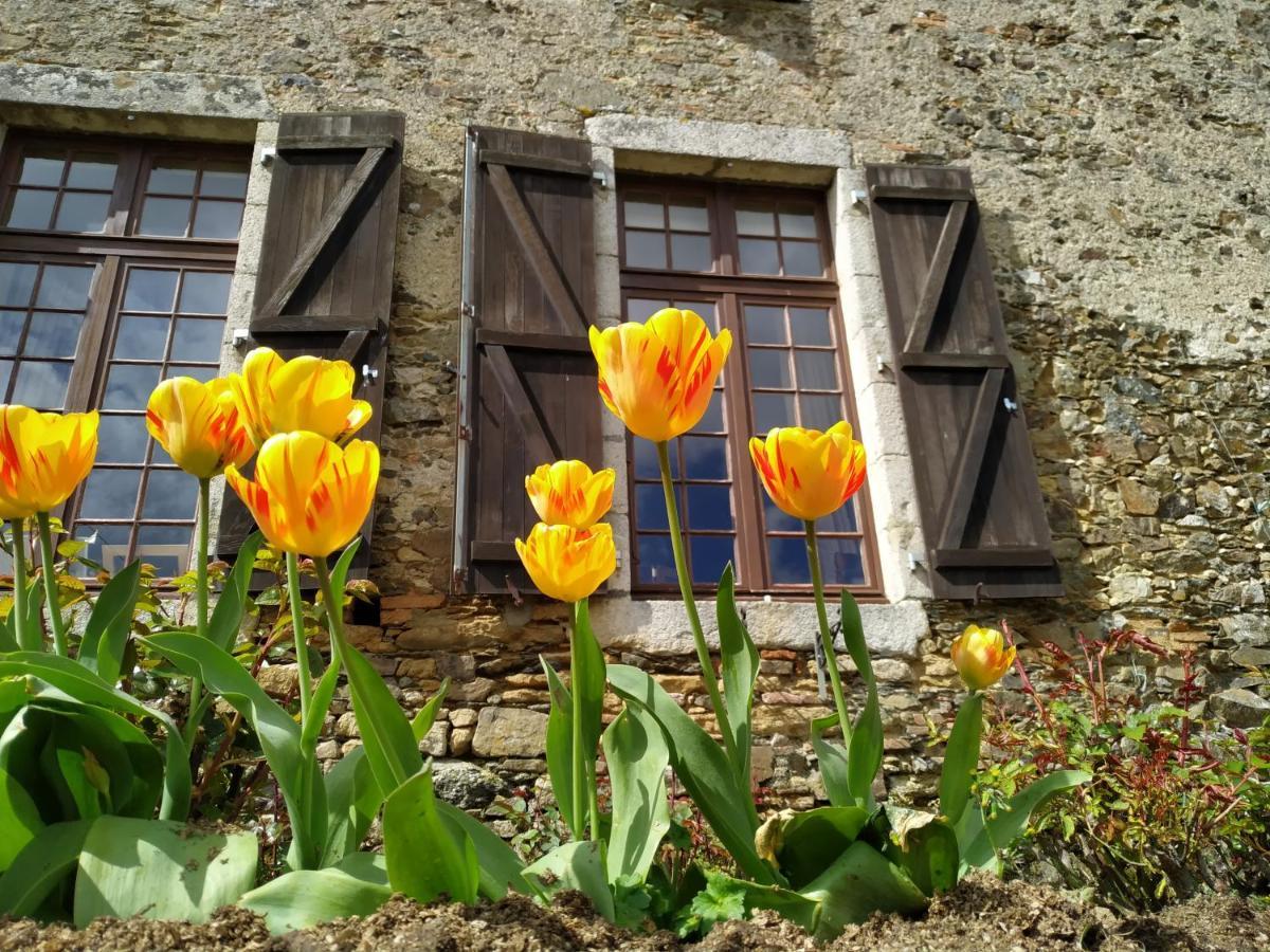 Chambre D'Hote Manoir De La Baudonniere Monsireigne エクステリア 写真